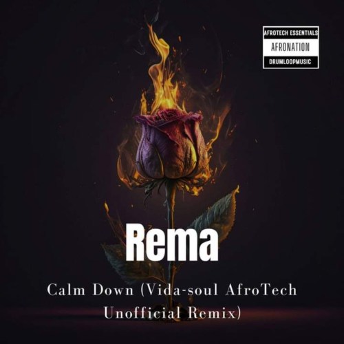 Rema – Calm Down (Vida-soul AfroTech Unofficial Remix)